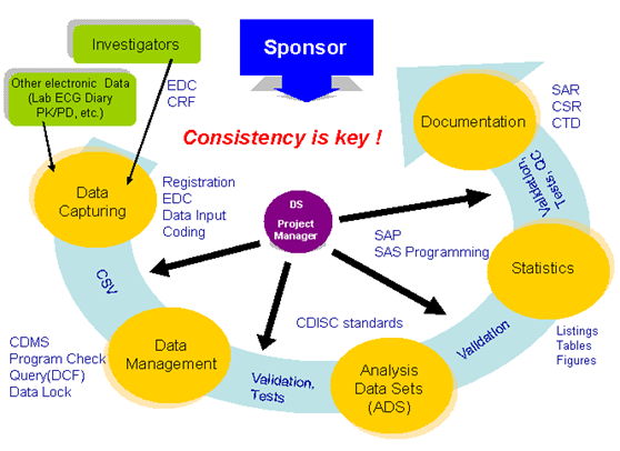 feature of intellim DS department