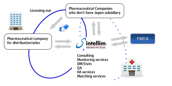 intellim takes a responsibility as a sponsor for your clinical trials even if you don’t have your office in Japan. Our experienced personnel also supports you to find a company for licensing out.