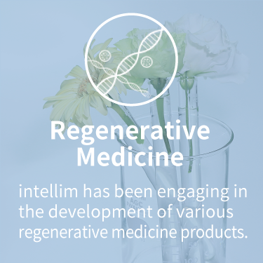 intellim has been engaging in the development of various regenerative medicine products.
